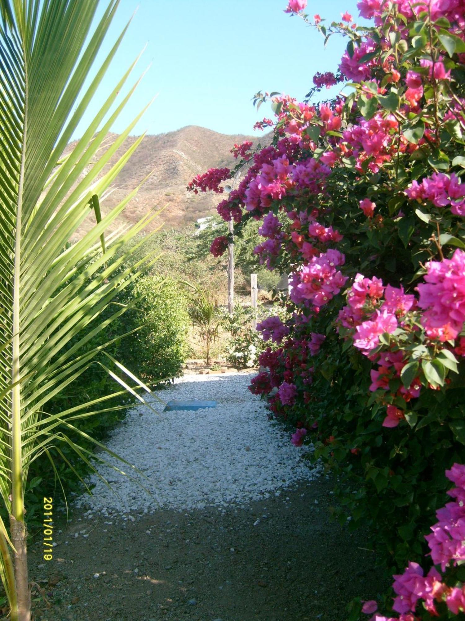 Hotel Casa Tara à Taganga Extérieur photo